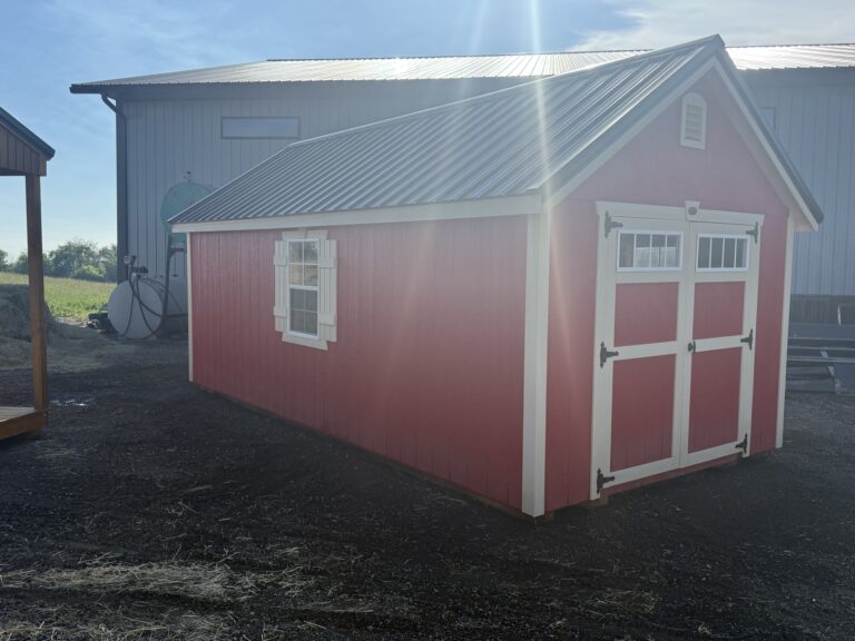 10 x 20 She Shed