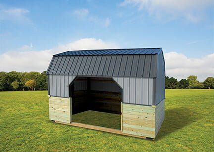 animal shelters